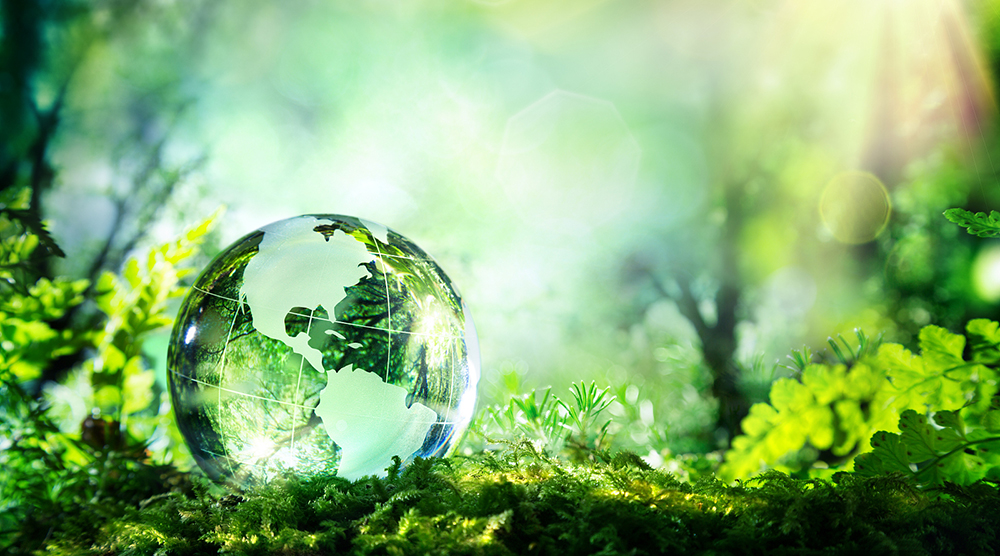 Jianjie provides sustainable and ecofriendly product service