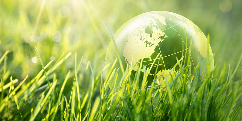 sunstainable and environmental friendly