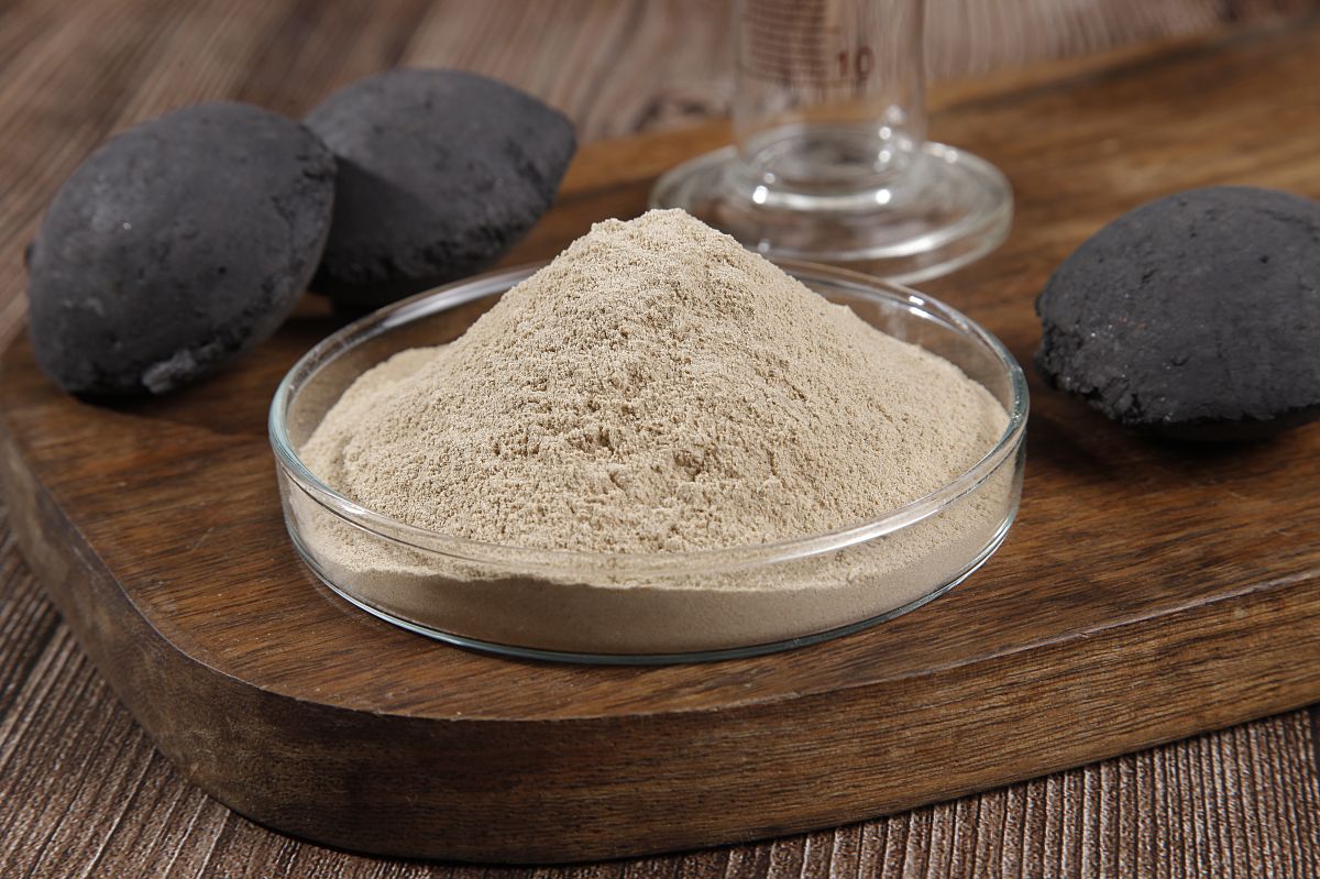 jianjie binder for coal briquettes including anthracite coal stored in a container with coal briquettes on the side