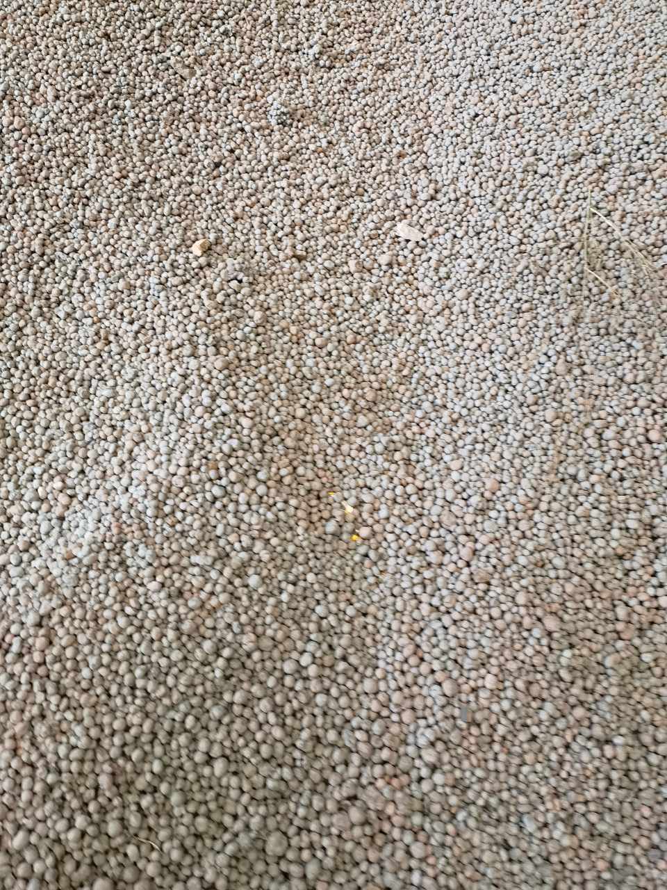 wet pellets