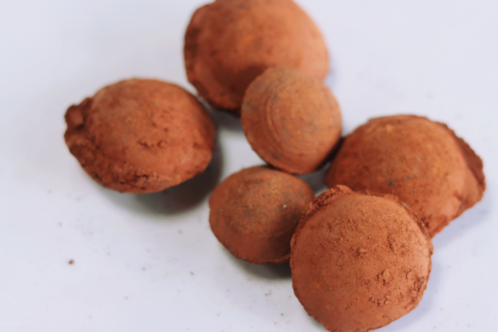 red mud briquettes