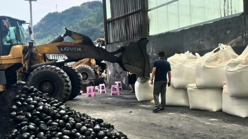 coal powder