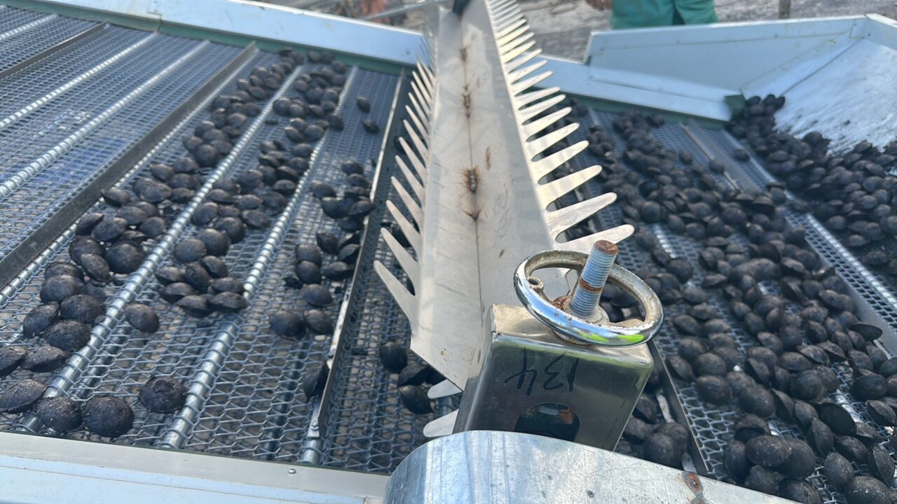 jianjie working on a coal client's plant
